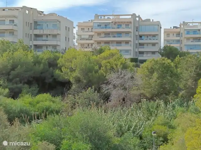 Mediterraneo-1 | Espagne, Costa Blanca, Orihuela Costa - appartement Complexe immobilier