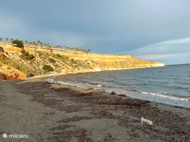 Mediterraneo-1 | Espagne, Costa Blanca, Orihuela Costa - appartement Plage en novembre