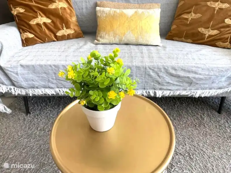 Proche plage et centre | Espagne, Costa Blanca, Torrevieja - Appartement Proche plage et centre | Espagne, Costa Blanca, Torrevieja - Appartement