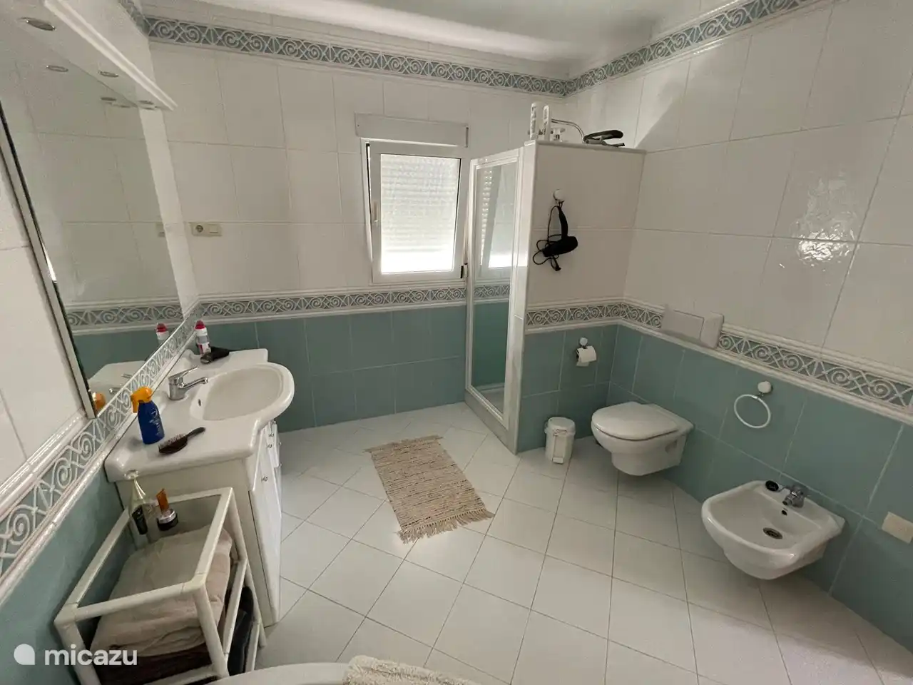 Salle de bain de la chambre principale (douche + bain)