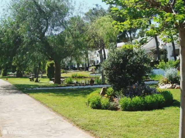 Casa Lola * Style bohème | Espagne, Costa Blanca, Jávea - maison mitoyenne Le jardin est très bien entretenu par un jardinier permanent et a déjà remporté plusieurs prix et récompenses.