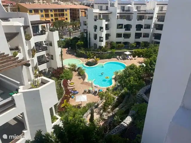 Location de Vacances Espagne, Tenerife, Palm Mar, appartement - Appartement de luxe 2 chambres