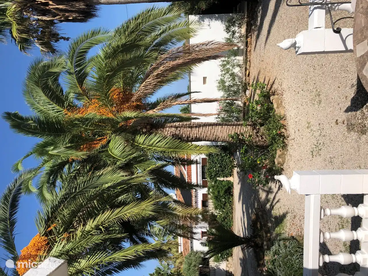 Façade du jardin Tres Palmas