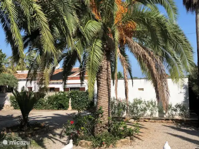 Tres Palmas | Espagne, Costa Blanca, Dénia - villa Façade du jardin Tres Palmas