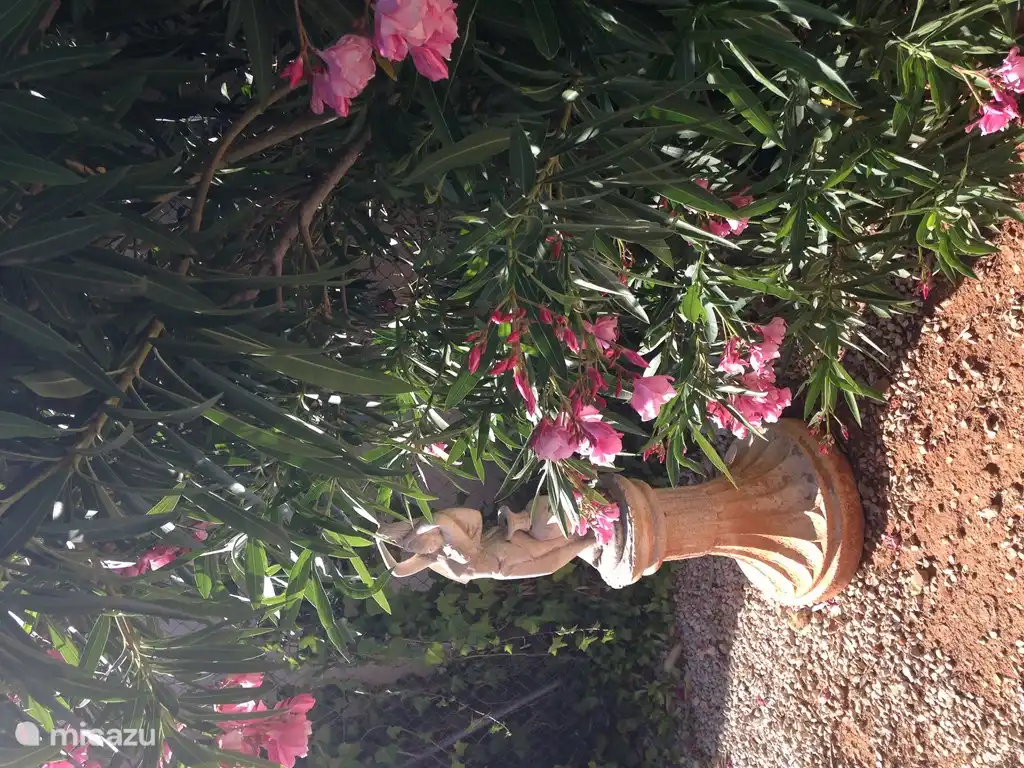 Statue de Tres Palmas dans le jardin