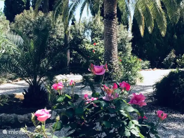 Tres Palmas | Espagne, Costa Blanca, Dénia - villa Rosiers Tres Palmas