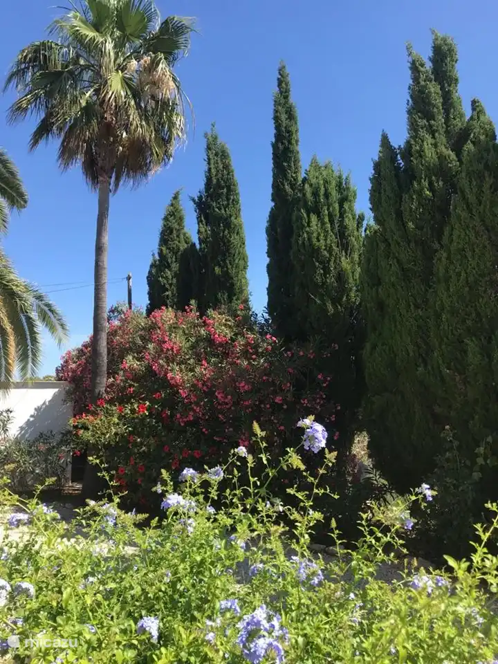 Jardin de Tres Palmas en fleurs