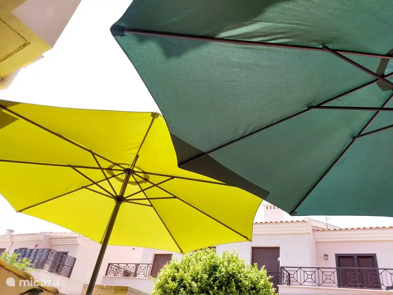 2 parasols front terrace