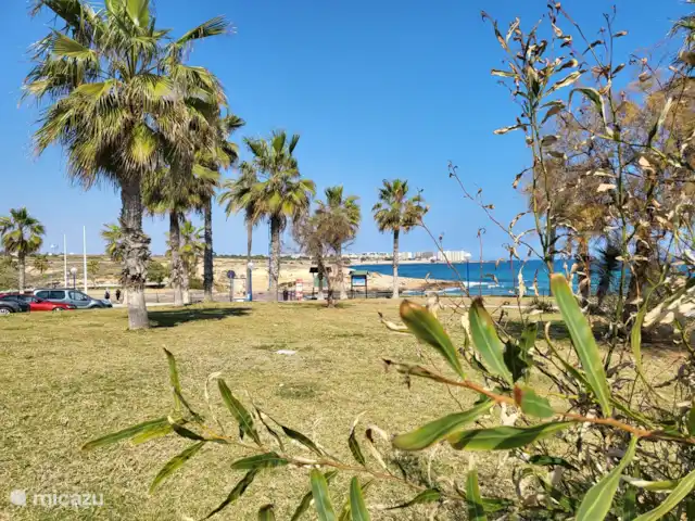 Casa Belle | Espagne, Costa Blanca, Vistabella - appartement La plage près de Punta Prima. C'est merveilleux, du vent étouffant, du sable entre les orteils !!