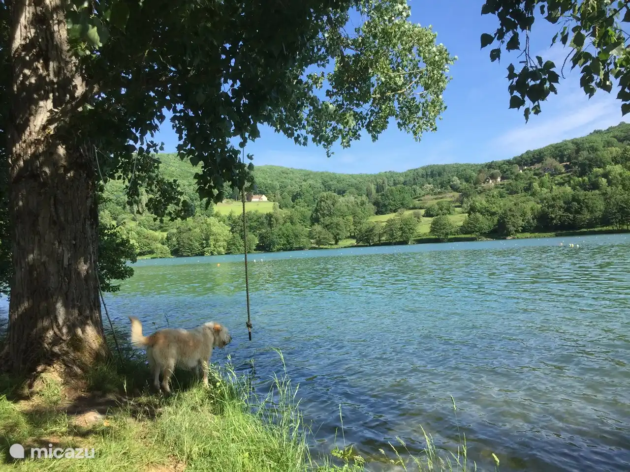 Hier hangt een tauw in de boon waar de kinderen slingerend het water in plonsen.