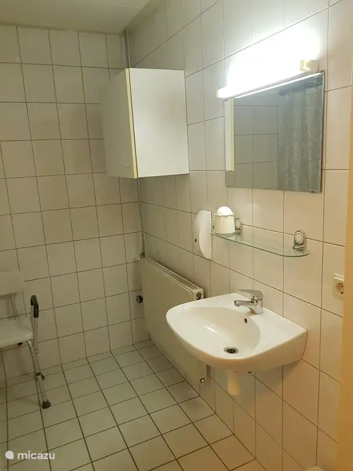 Lavabo dans la salle de douche