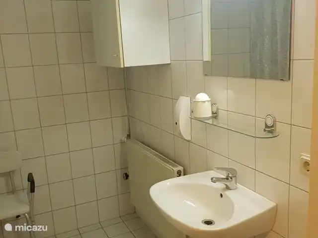 Wandelen, Nederland, Overijssel, Holten, boerderij Erve Toon Wastafel in doucheruimte