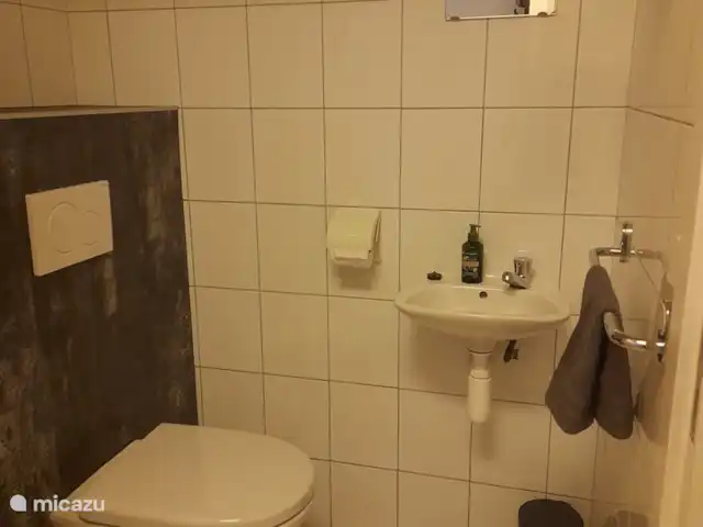 Wandelen, Nederland, Overijssel, Holten, boerderij Erve Toon Toilet