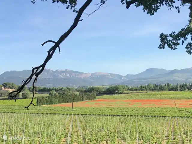 Shoto | France, Vaucluse, Aubignan - maison de vacances