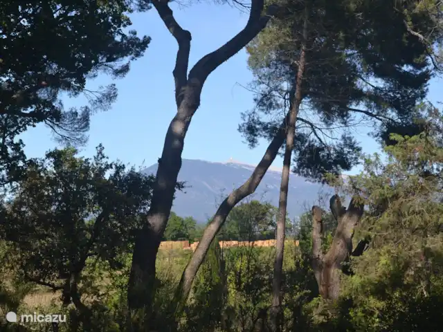 Shoto | France, Vaucluse, Aubignan - maison de vacances