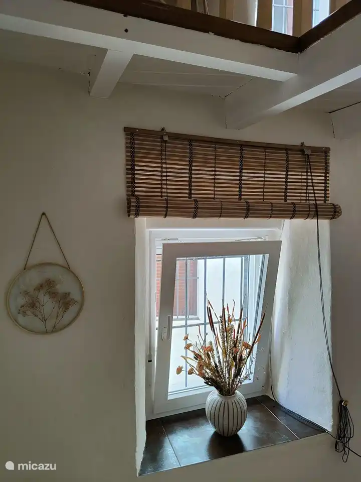 Détails des fenêtres du rez-de-chaussée