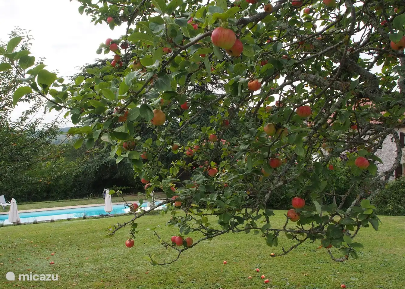 Schnappschuss aus dem Obstgarten