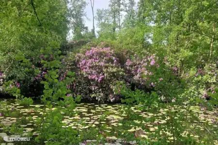 Domaine 'Het Singraven'