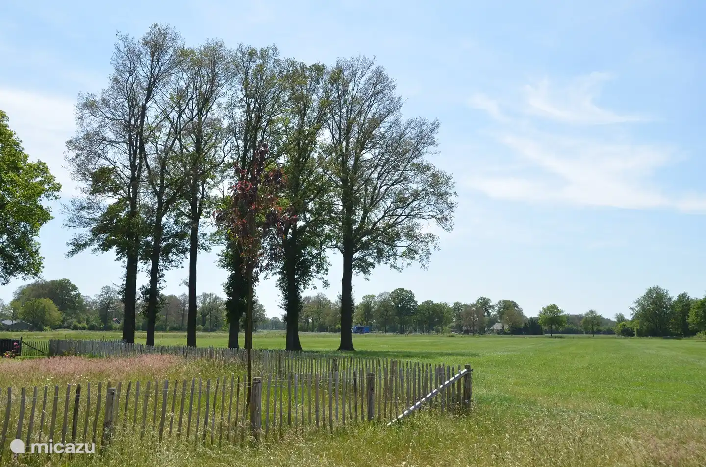 Uitzicht vanuit de lodge