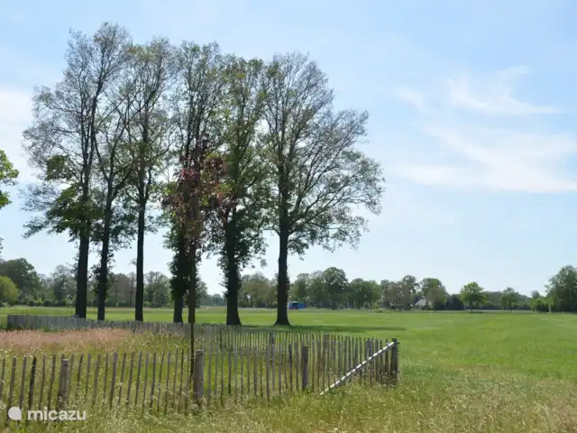 Loge 'De Köttelpeer' | Pays-Bas, Overijssel, Denekamp - cabane en bois / lodge Vue depuis le lodge