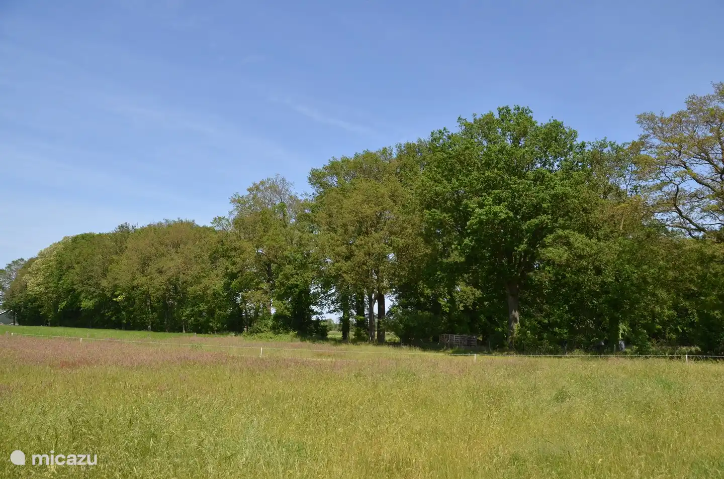 Uitzicht vanuit de logde 