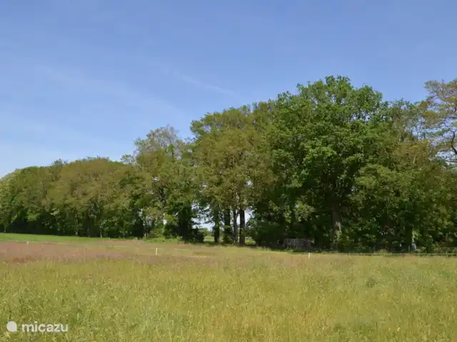 Loge 'De Köttelpeer' | Pays-Bas, Overijssel, Denekamp - cabane en bois / lodge Vue depuis le lodge