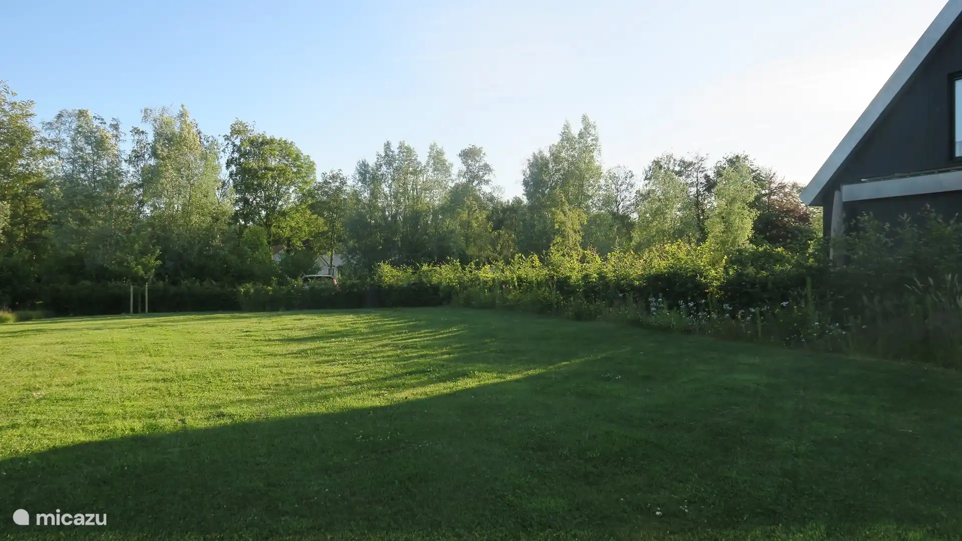 Garten mit großer Rasenfläche 