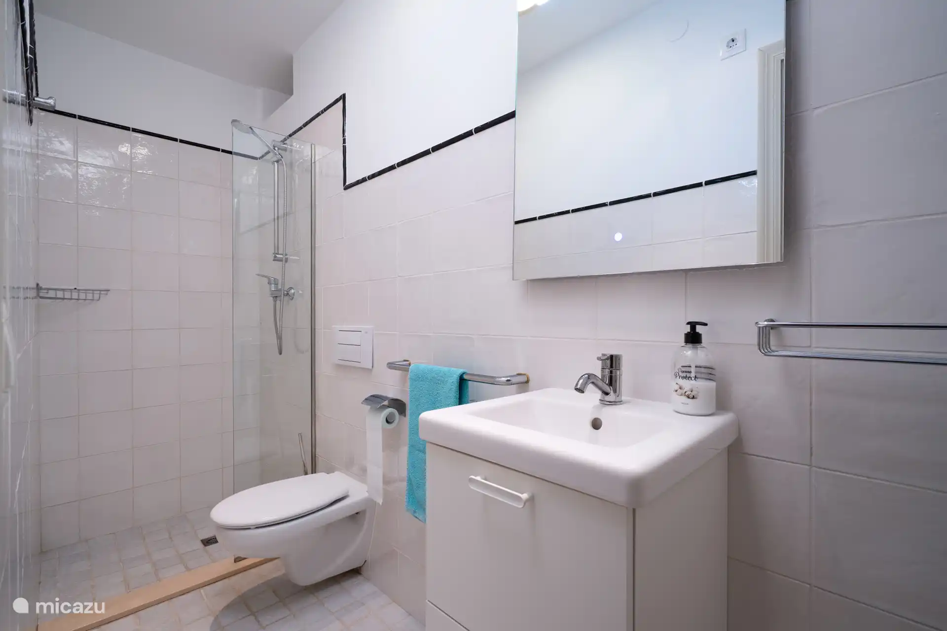 2de kamer van Villa Alicia met douche, toilet en wastafel