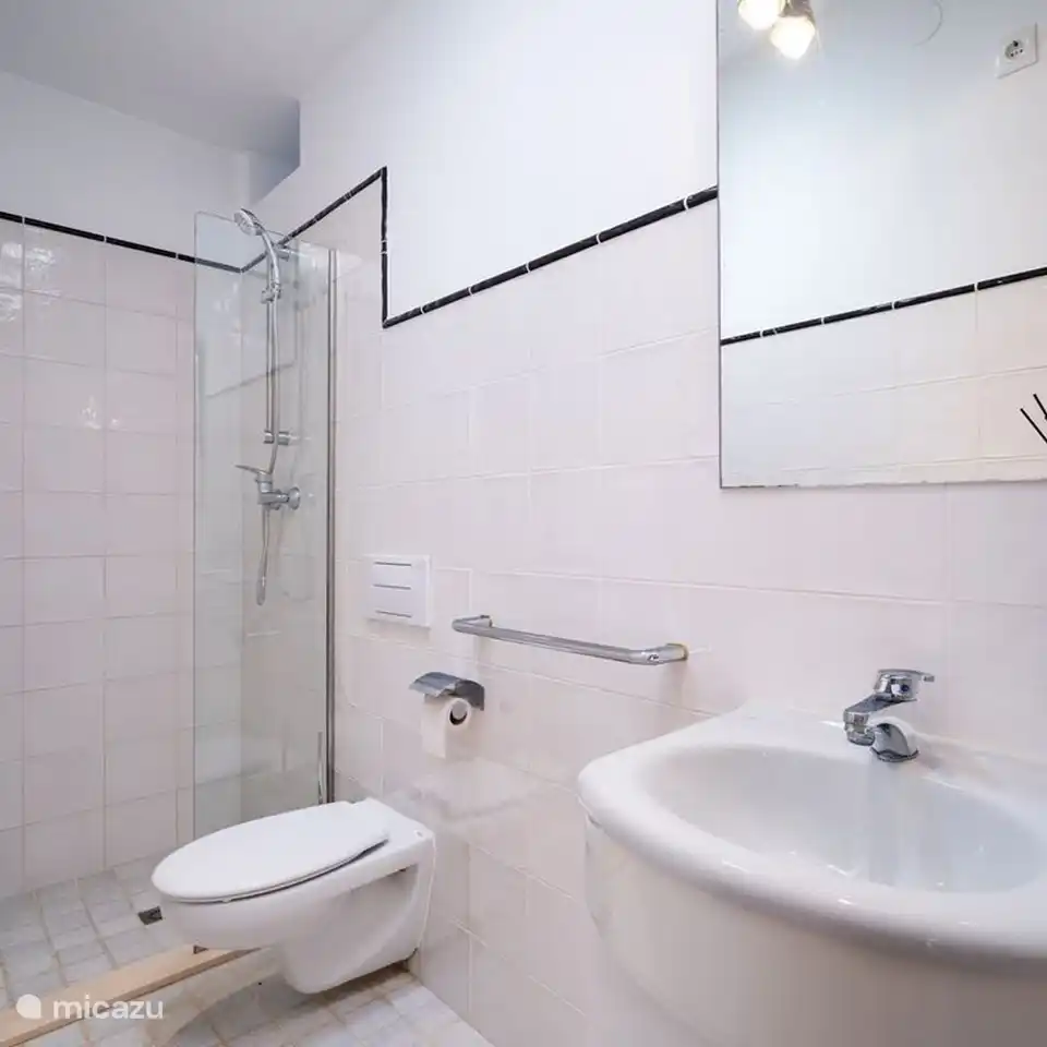 Das zweite Badezimmer der Villa Alicia verfügt über eine ebenerdige Dusche, Toilette und Waschbecken