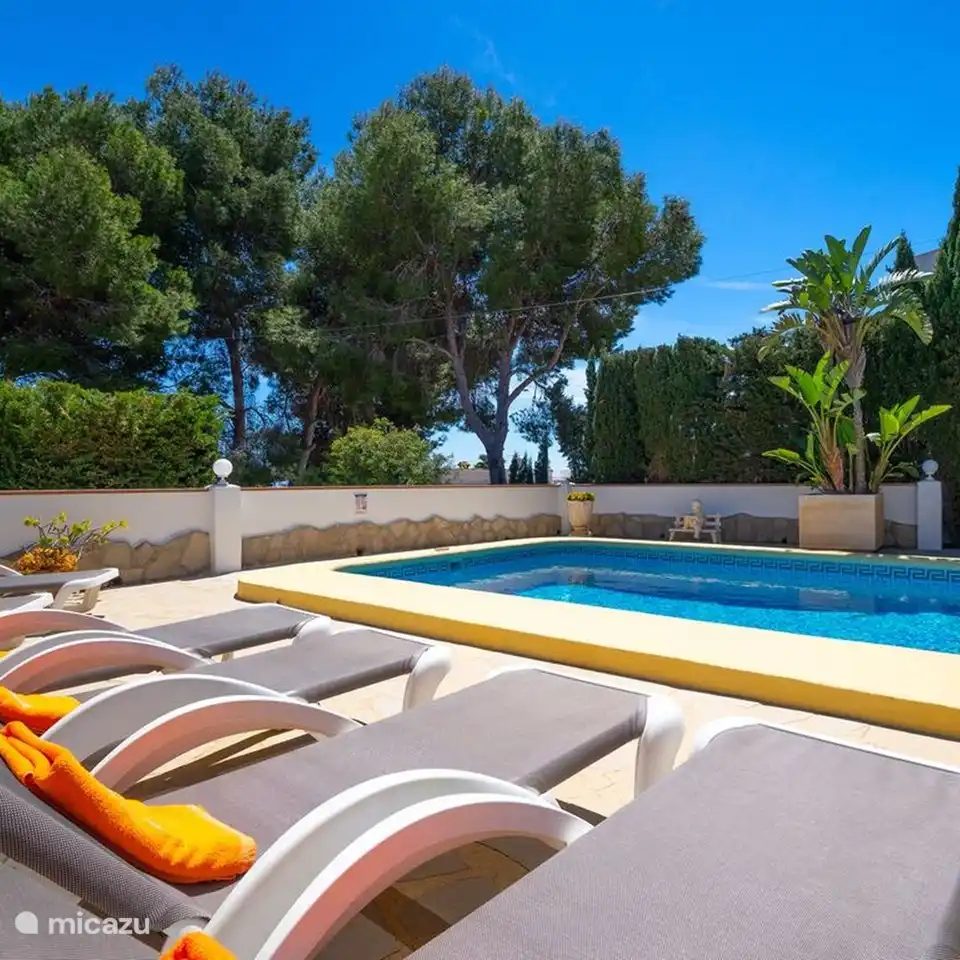 Rund um den Pool der Villa Alicia gibt es mehrere Sonnenliegen