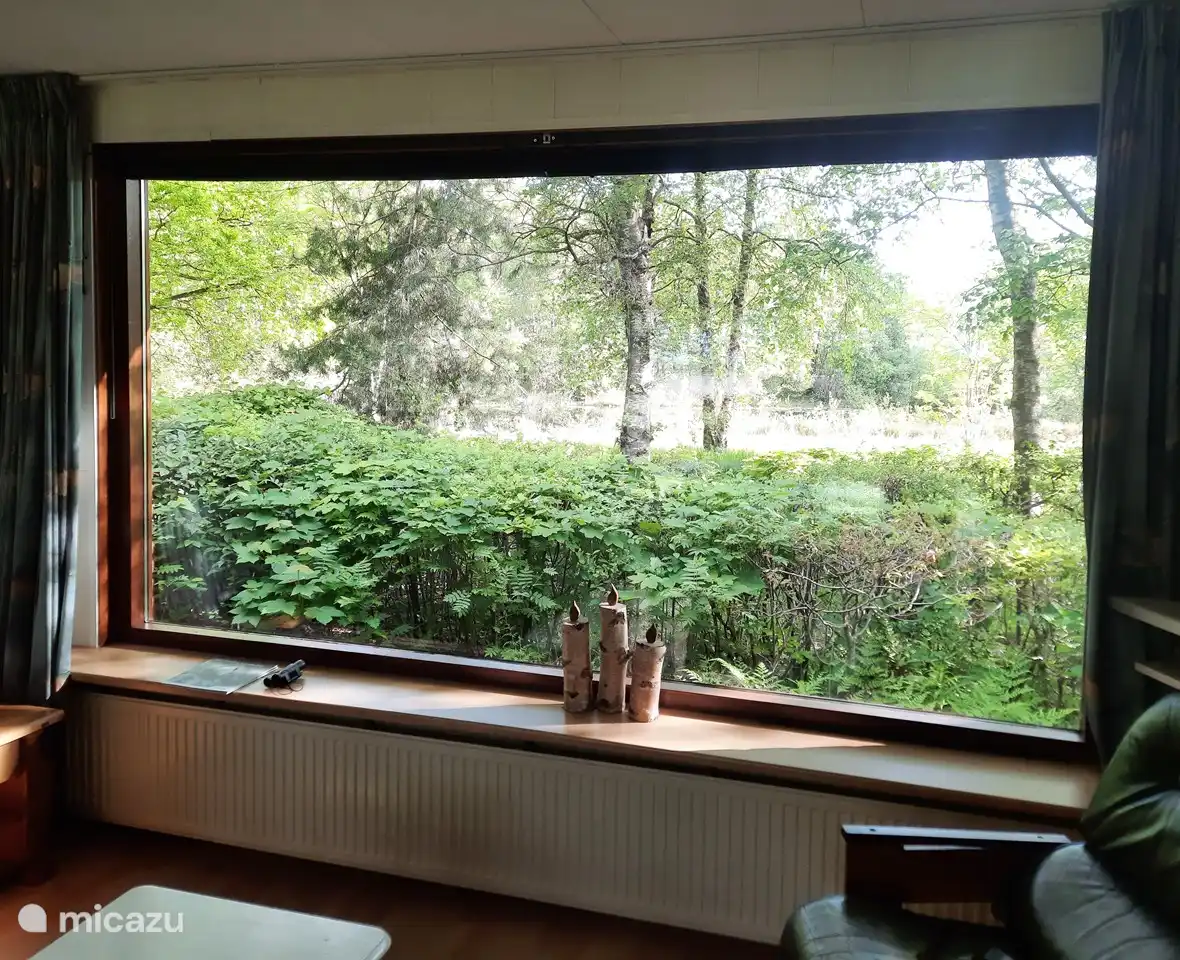 Woonkamerraam met uitzicht op het kikkerven.