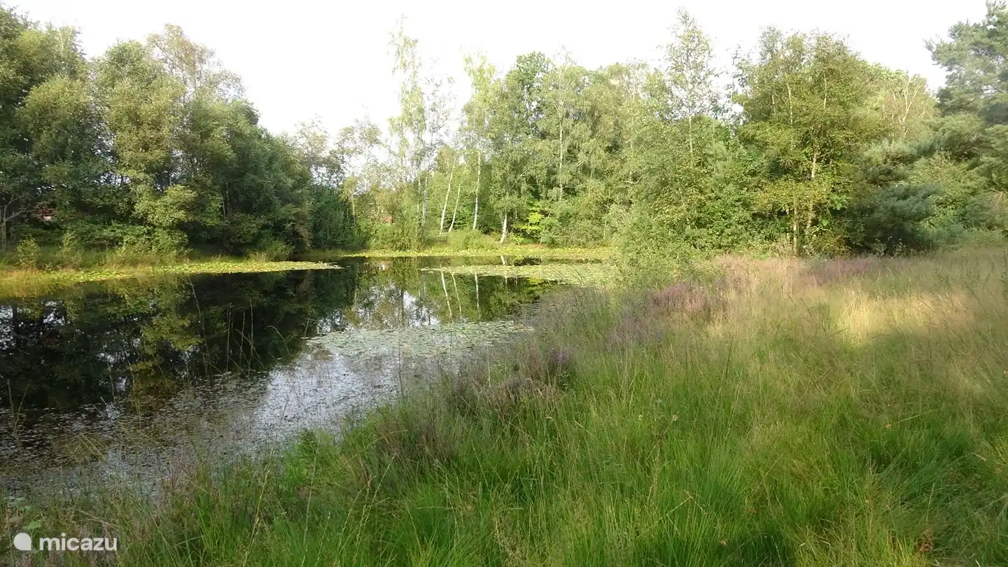 Natuurlijk vennetje direct voor de bungalow gelegen.