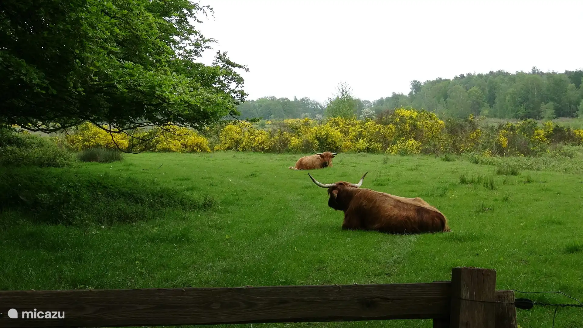 In het nabij gelegen natuurgebied