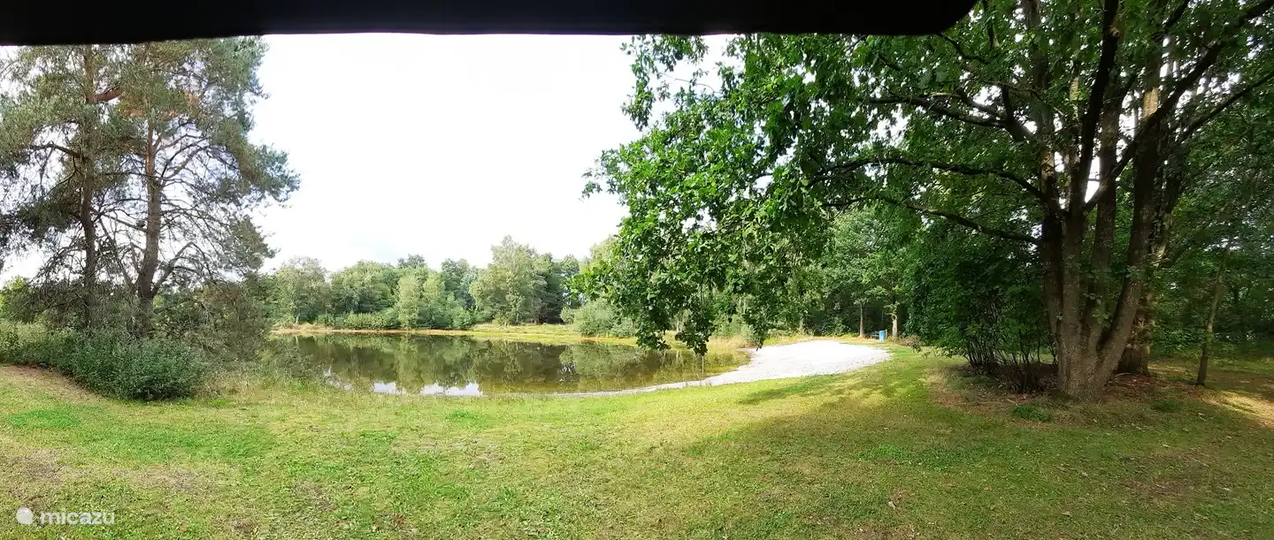 Overzicht van ons natuurgebied.