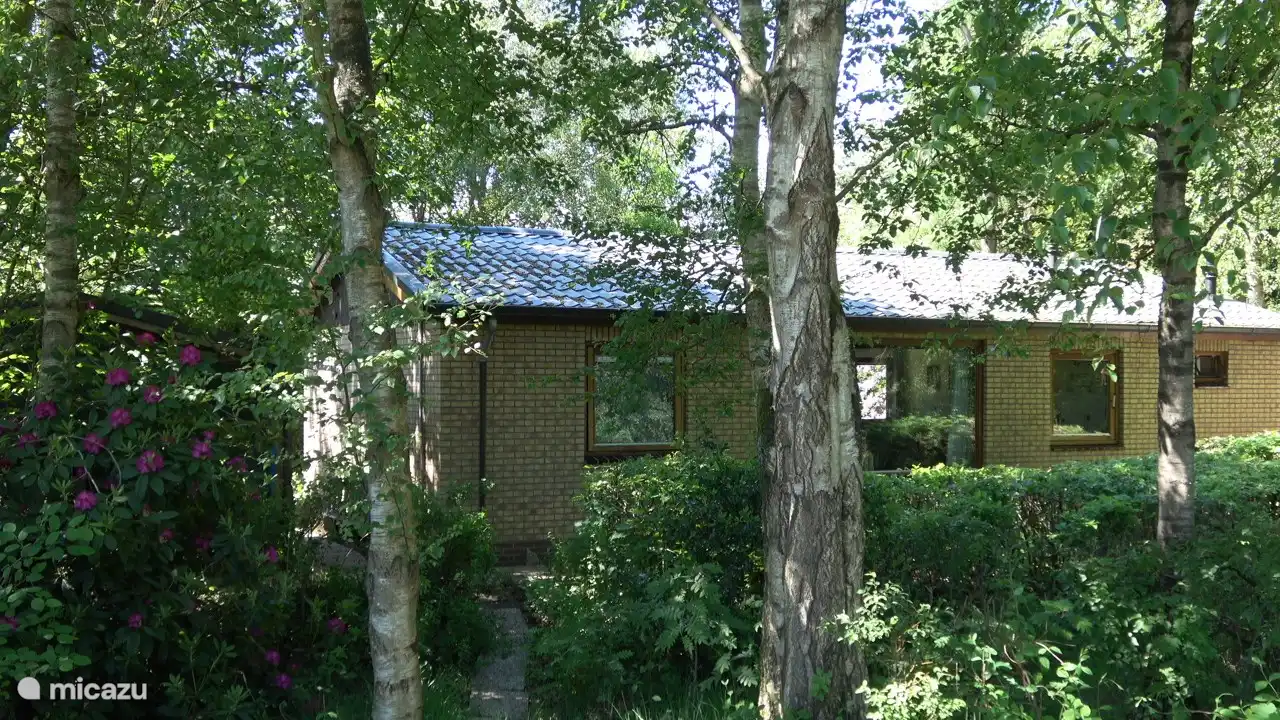 Vooraanzicht met beboste tuin