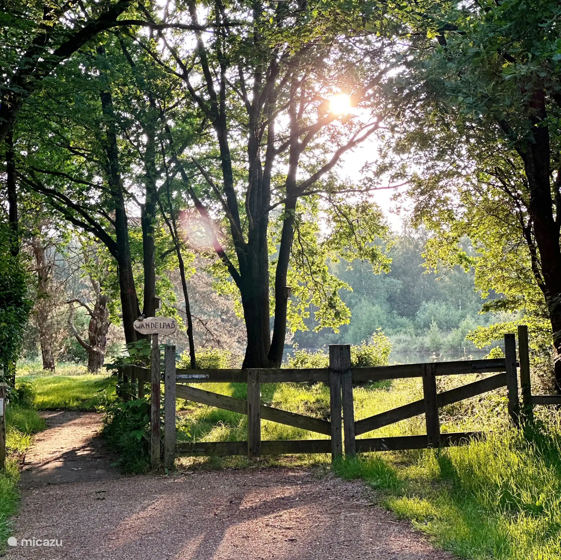 Het wandelpad langs de vennen
