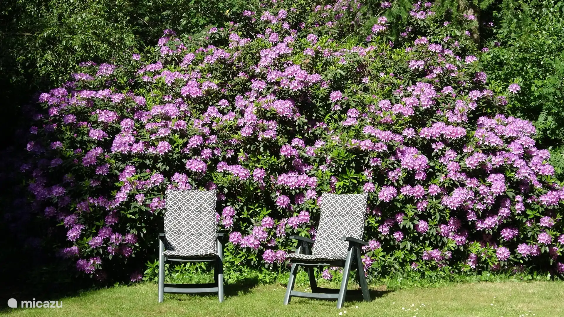 Heerlijk zitten op het gras in de achtertuin