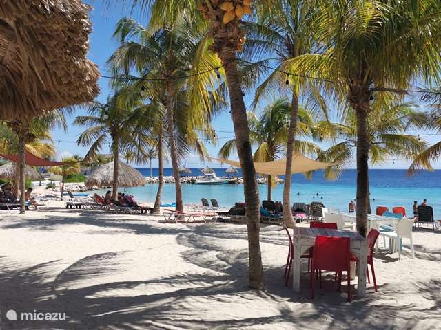 Holiday home in Curaçao, Curacao-Middle, Piscadera - villa Beautiful villa on Blue Bay