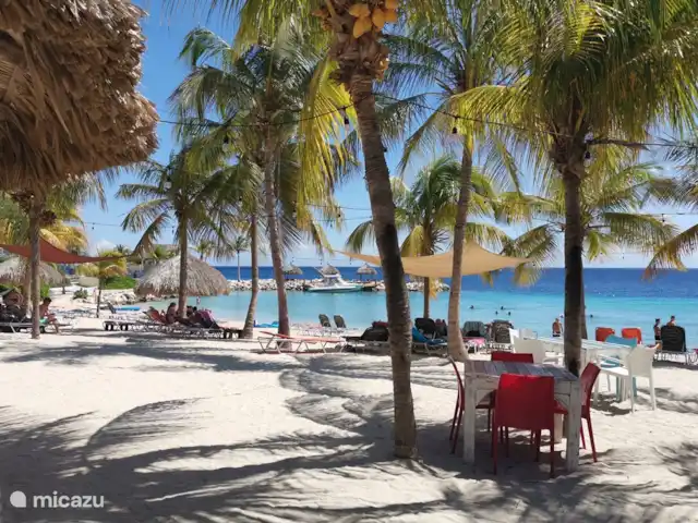 Belle villa sur Blue Bay | Curaçao, Curaçao-Centre, Blue Bay - villa Belle villa sur Blue Bay | Curaçao, Curaçao-Centre, Blue Bay - villa