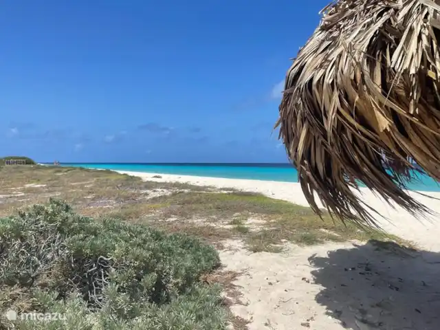 Belle villa sur Blue Bay | Curaçao, Curaçao-Centre, Blue Bay - villa Petit Curaçao
