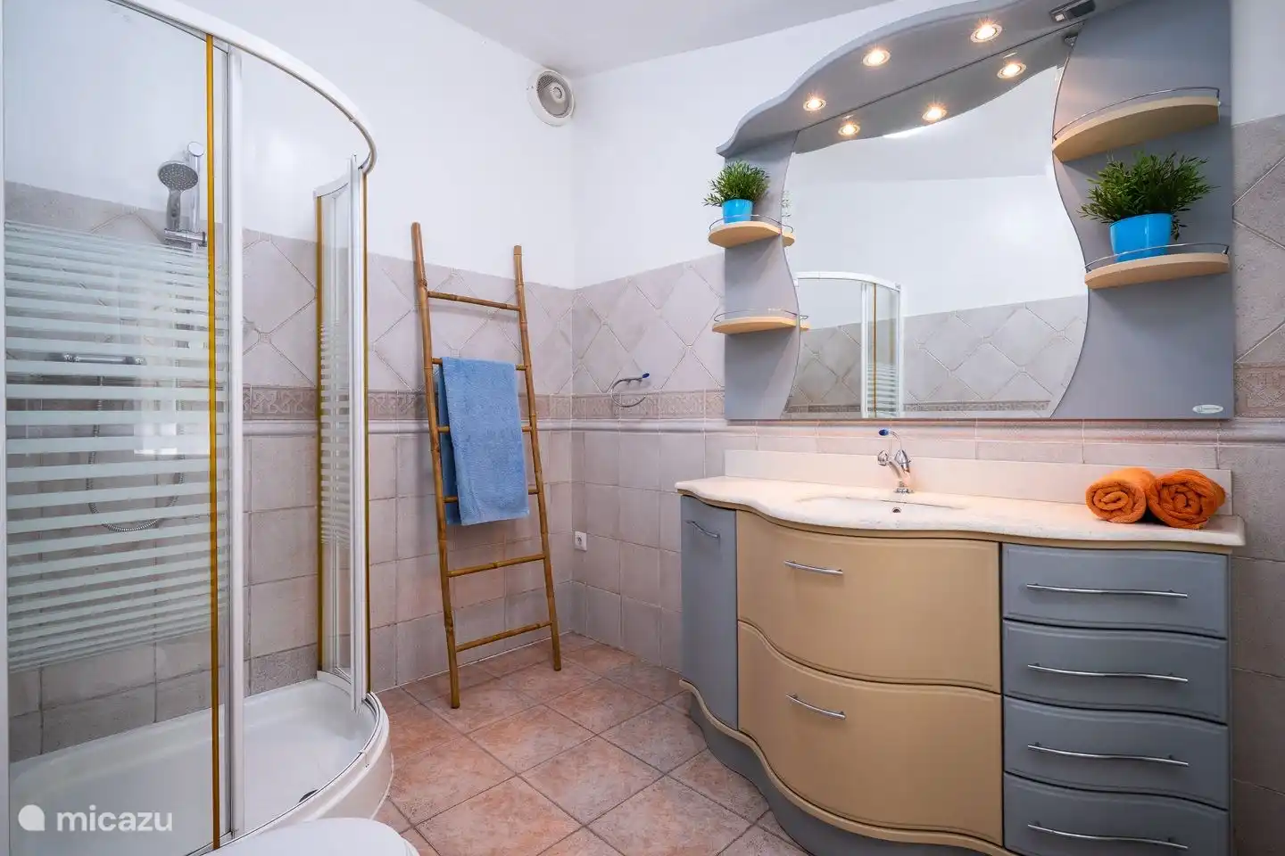 The en-suite bathroom of master bedroom has a shower, toilet and sink