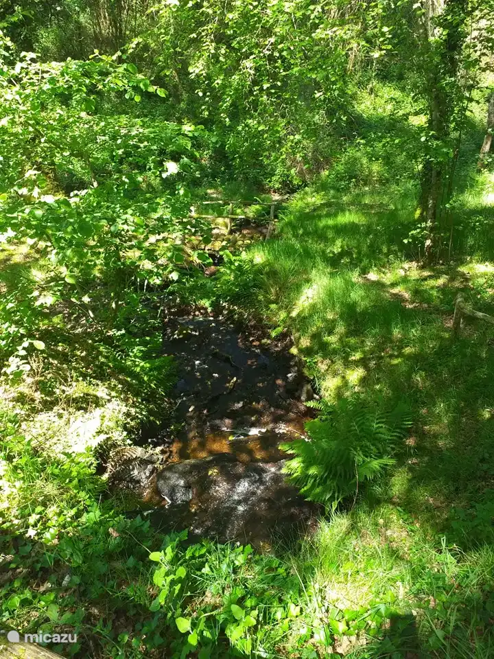 itinéraire pédestre près de la Villa Verte