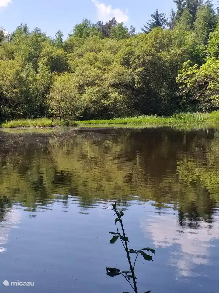 joyau caché près de la Villa Verte