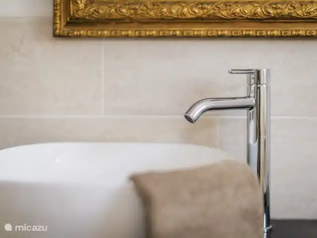 Villa Verte La chambre Hert | France, Haute-Vienne, Saint-Mathieu - chambres d'hôtes Cerf de salle de bain