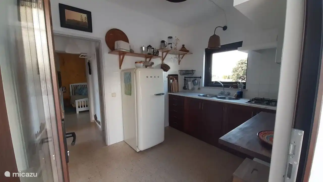 Todo lo que necesitas para cocinar comidas deliciosas