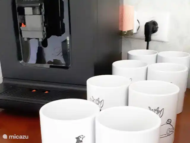 Villa Verte La chambre Vos en Francia, Alta Viena, Saint-Mathieu - alojamiento y desayuno el cafe esta listo para ti