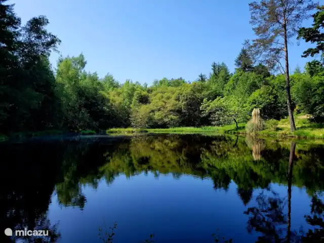 Villa Verte La chambre Vos en Francia, Alta Viena, Saint-Mathieu - alojamiento y desayuno joya escondida cerca de Villa Verte
