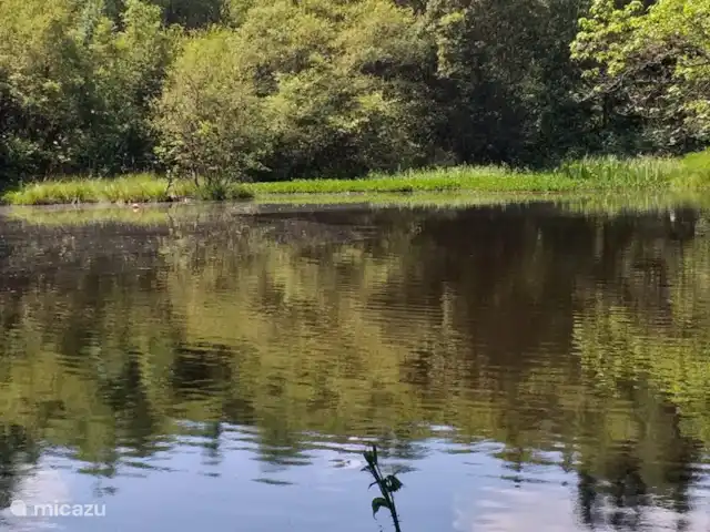 Villa Verte La chambre Vos en Francia, Alta Viena, Saint-Mathieu - alojamiento y desayuno joya escondida cerca de Villa Verte