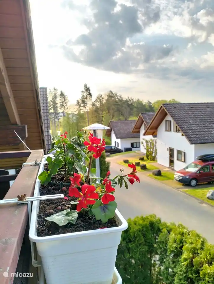 Seepark Kirchheim Huize Kok in Deutschland, Hessen, Reimboldshausen (Kirchheim) - Ferienhaus