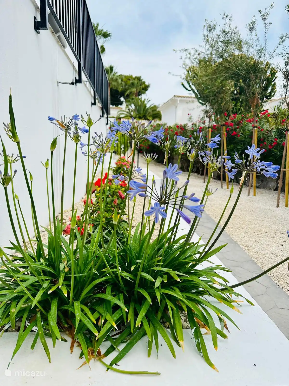 Villa La Bonita Moraira – Garten
